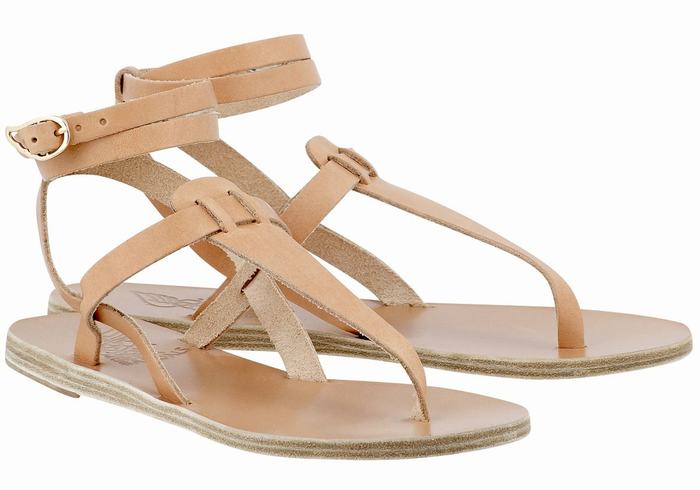 Sandales Bride Cheville Ancient Greek Sandals Estia Leather   | JCX-3280346